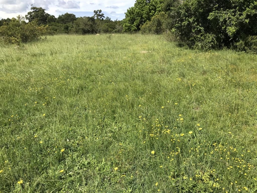 Commercial Property for Sale in Bathurst Rural Eastern Cape